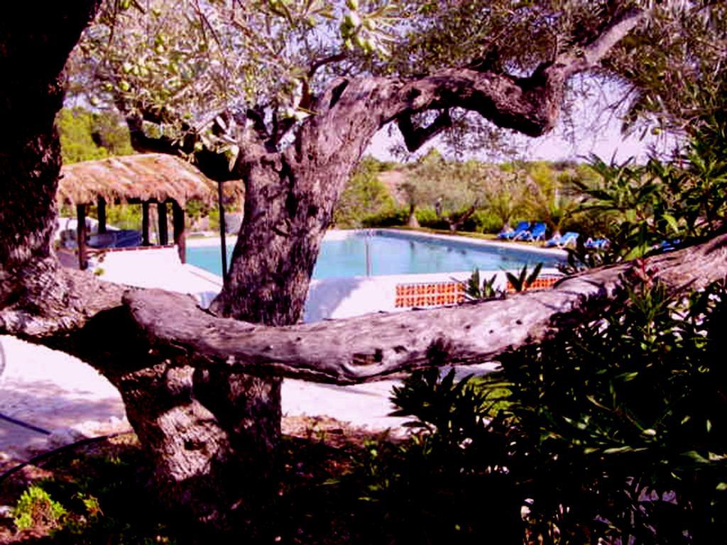 The Sea Garden Hotell L'Ampolla Eksteriør bilde